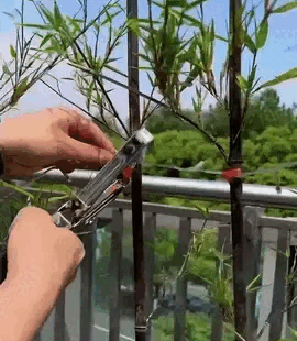TieUp™ Plant Helper Machine