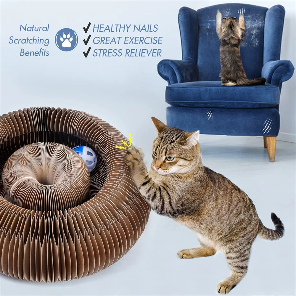Cat Scratching Board & Bed Combo