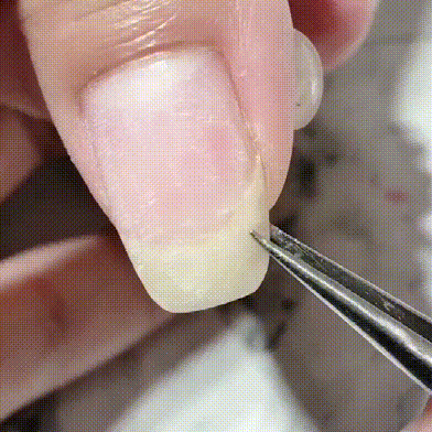 SpaNailz™ Repair Kit
