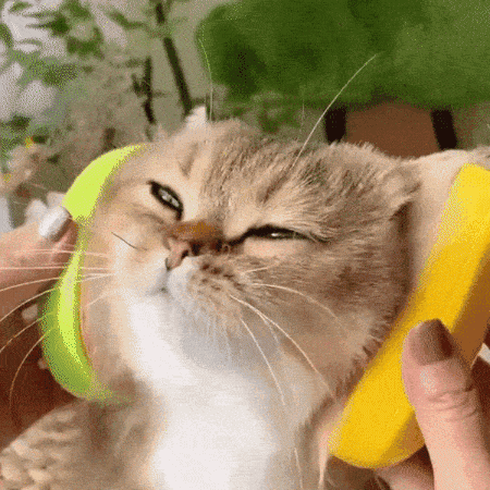 Purr-fect Groom Brush Delight | BUY 1 GET 1 FREE