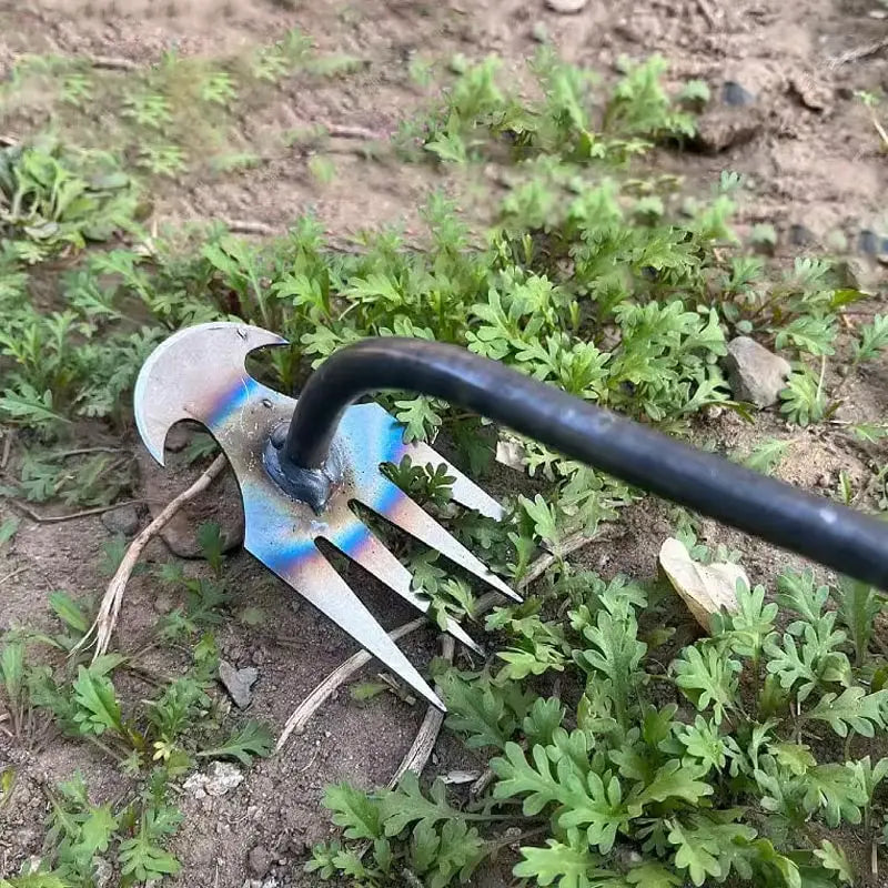 RootRaptor™  Pro Hand Weeder