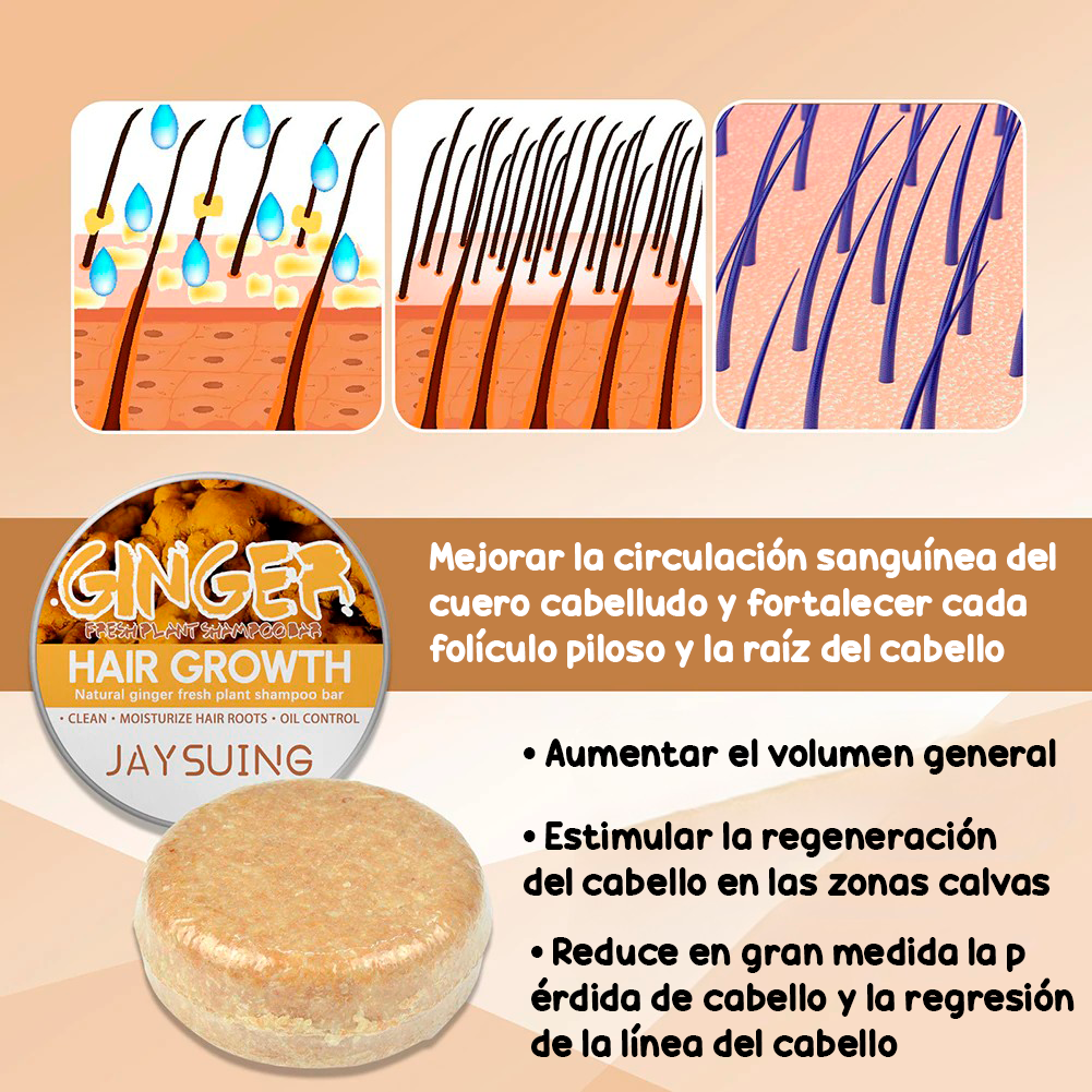 GingerGold HairCare Bar