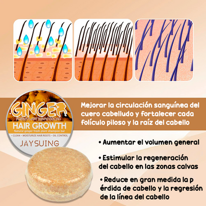 GingerGold HairCare Bar