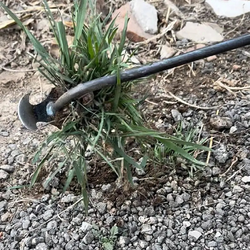 RootRaptor™  Pro Hand Weeder