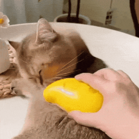 Purr-fect Groom Brush Delight | BUY 1 GET 1 FREE