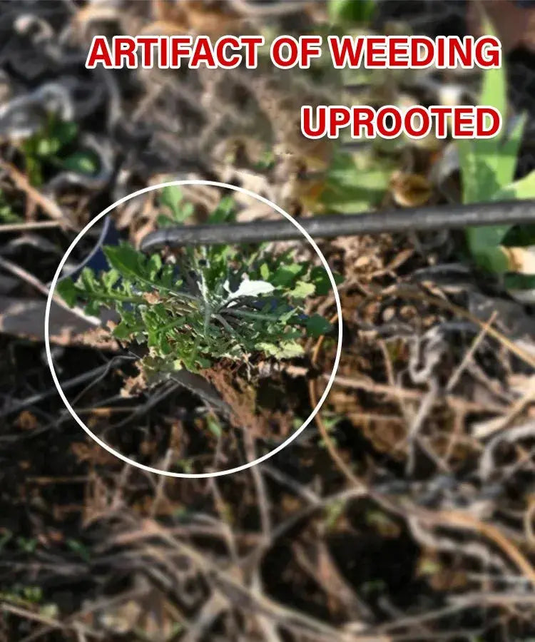 RootRaptor™  Pro Hand Weeder