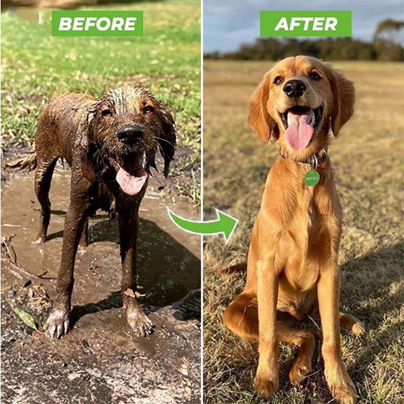 PupWash Pro