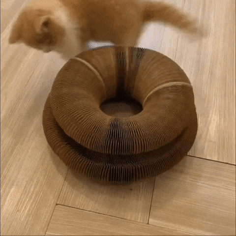 Purrfect Playplace: Scratch & Snooze