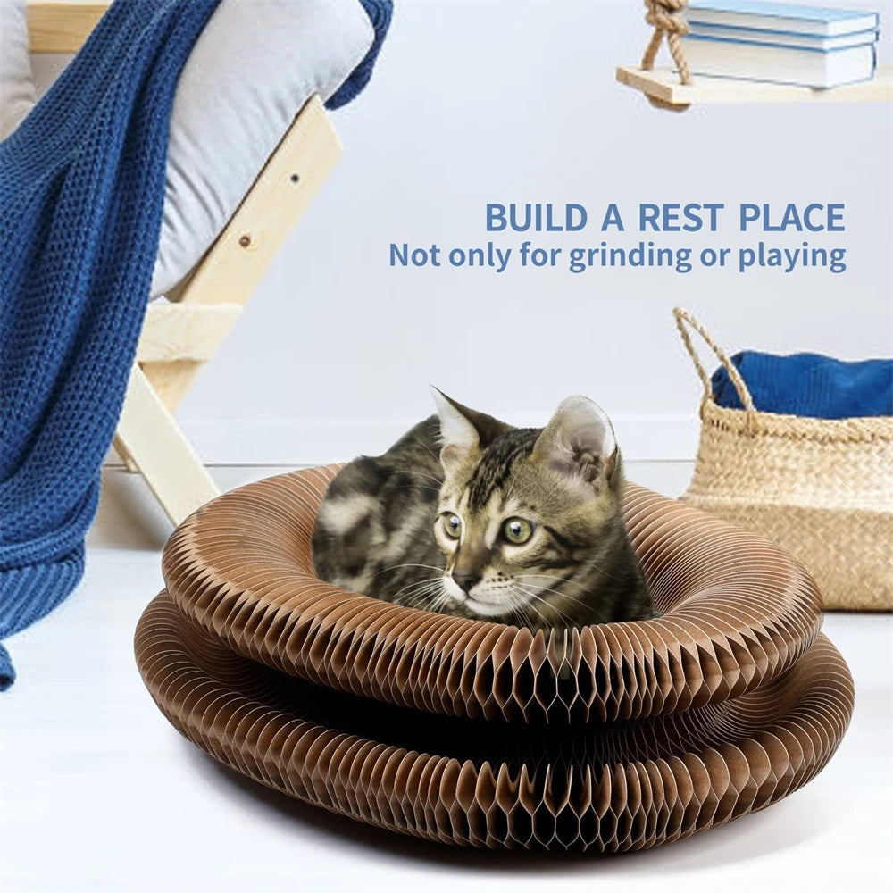 Cat Scratching Board & Bed Combo