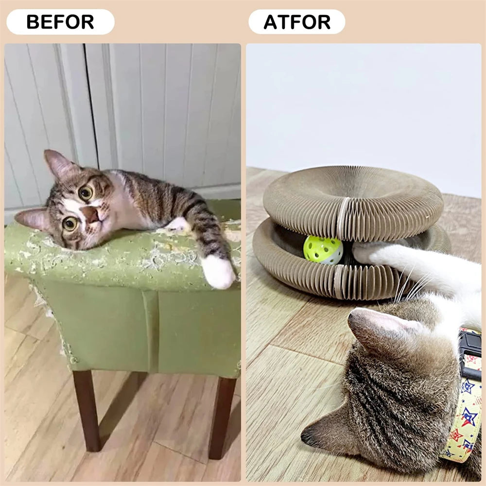 Cat Scratching Board & Bed Combo