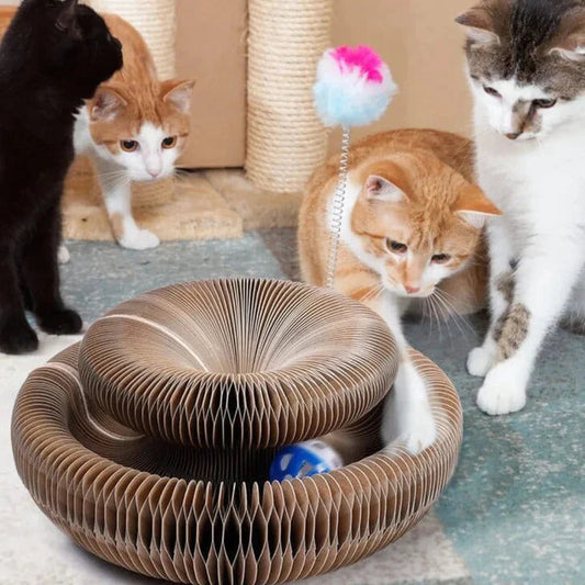 Purrfect Playplace: Scratch & Snooze