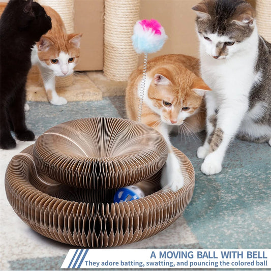 Cat Scratching Board & Bed Combo